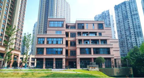 稳定 靠谱 可持续,选新桥医院旁 顶流 商业