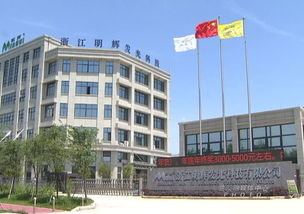 从1583家参选企业脱颖而出 兰溪一企业竞逐全球权威奖项