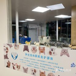 阳光宠物医院