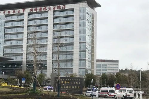 同气连枝,共盼春来,阳光永远照耀在我们肩上